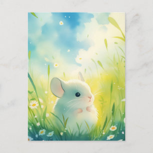 White Baby Chinchilla in Sunny Green Meadow Postcard
