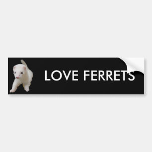 White Baby Ferret Bumper Sticker