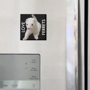 White Baby Ferret Magnet