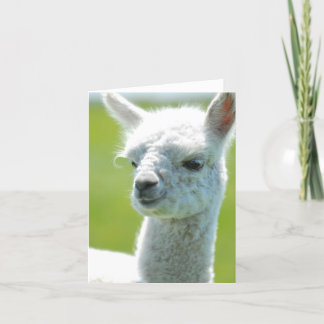 White baby girl card