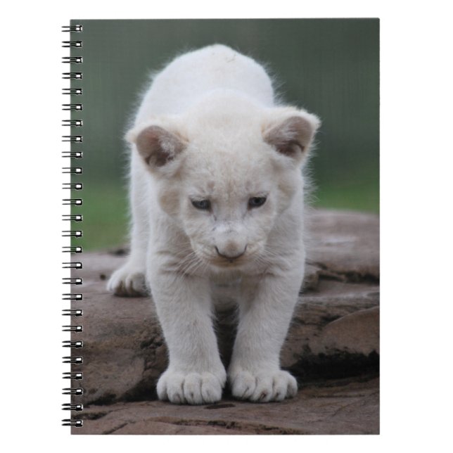 White baby lion cub notebook (Front)