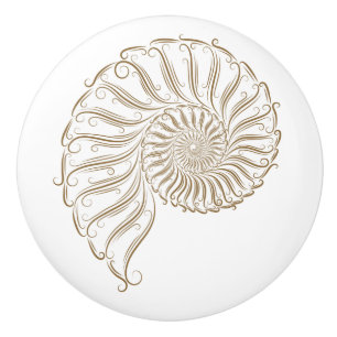 White Background Beach Shell Drawer Knobs