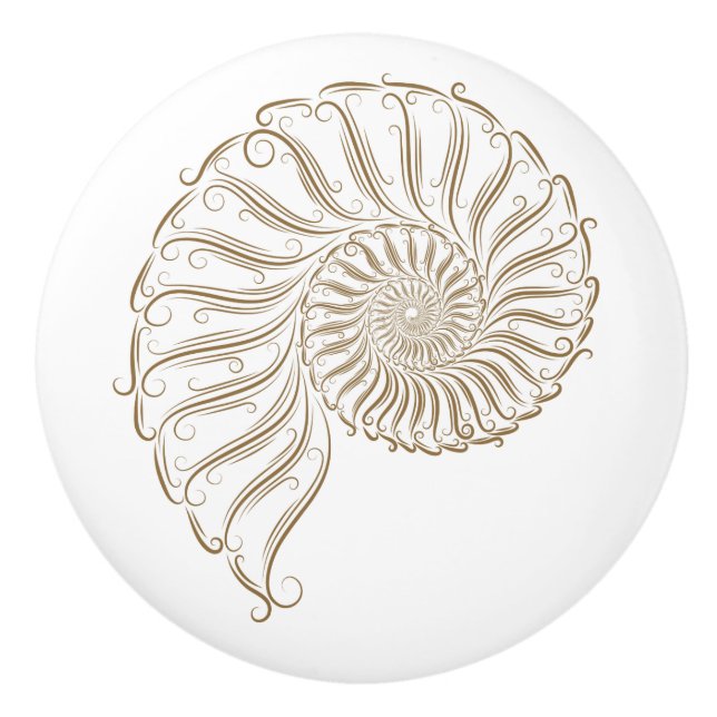 White Background Beach Shell Drawer Knobs (Front)
