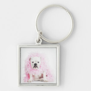white background, white bulldog, pink feather key ring