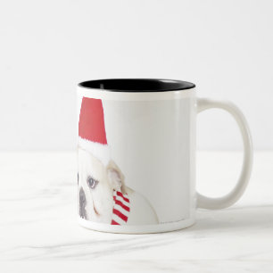 white background, white bulldogs, male dog, Two-Tone coffee mug