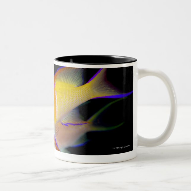 White Bar Anthias Two-Tone Coffee Mug (Right)