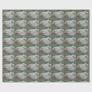 White Baroque Donkey Wrapping Paper