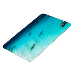 White Beach Magnet