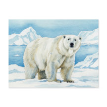 White Bear Watercolor Postcard