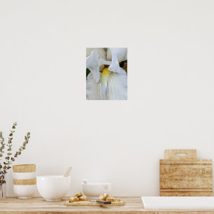 White Bearded Iris Bloom Macro Photo Poster