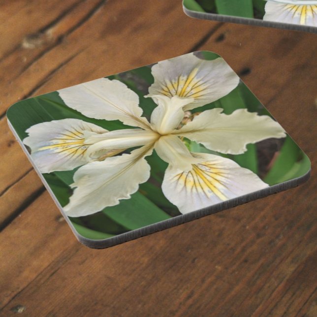 White Beardless Iris Bloom Floral Coaster (In Situ)