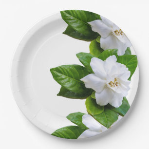 White beautiful gardenia flowers on white paper plate