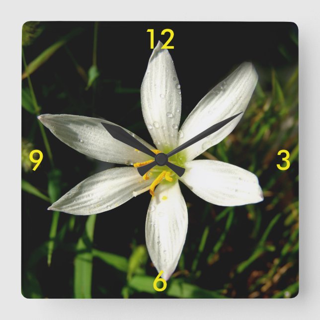 White Beauty Clocks (Front)