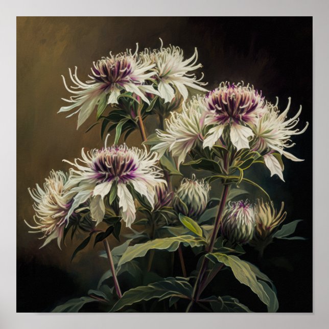 White Bee Balm Flower Art Print Poster (Front)