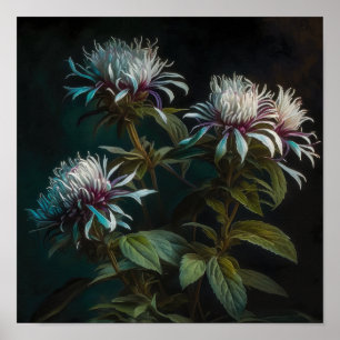White Bee Balm Flower Art Print Poster