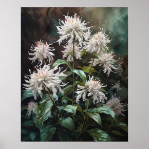 White Bee Balm Flowers Art Print Poster