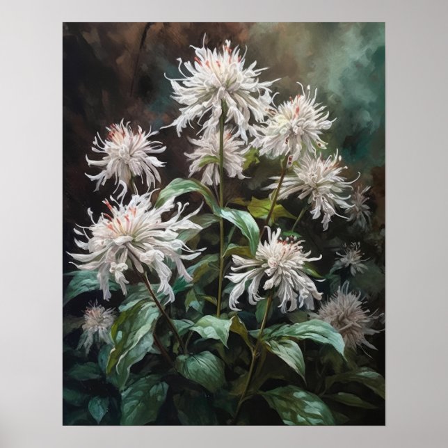 White Bee Balm Flowers Art Print Poster (Front)
