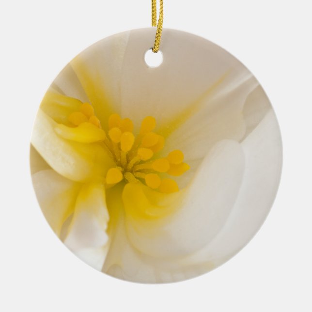White Begonia Ceramic Ornament (Front)