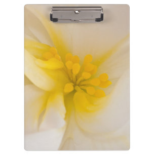 White Begonia Clipboard