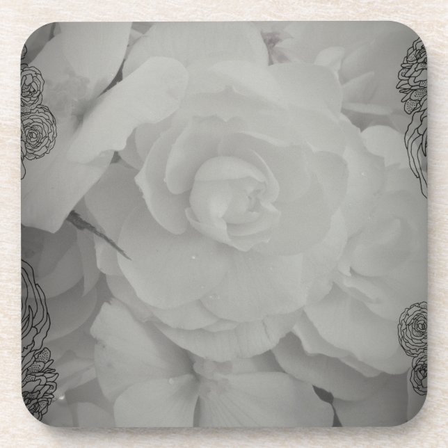 White Begonia Coaster (Front)