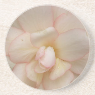White Begonia Flower Coasters