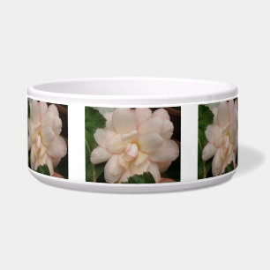 White Begonia Flower Dog Bowl