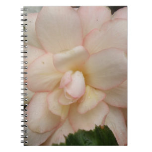 White Begonia Flower Notebook