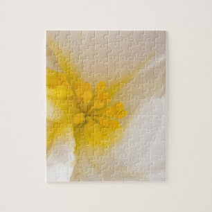 White Begonia Jigsaw Puzzle