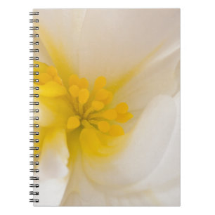 White Begonia Notebook