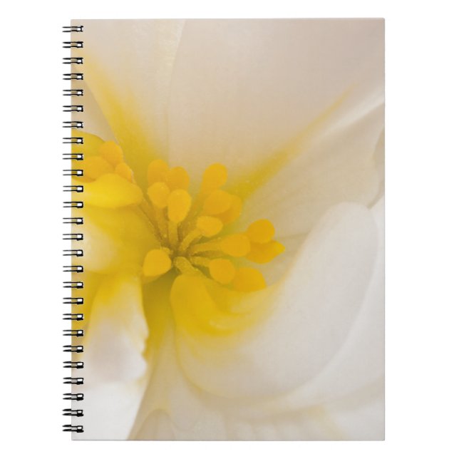 White Begonia Notebook (Front)