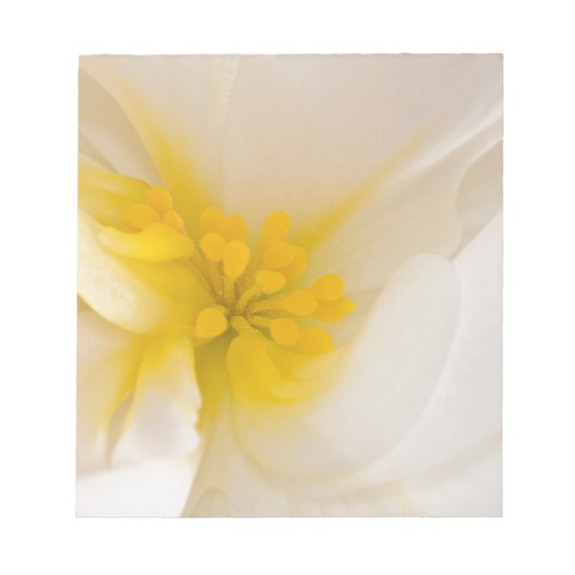 White Begonia Notepad (Front)