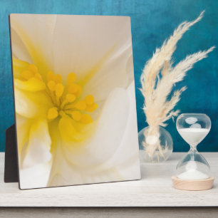 White Begonia Plaque