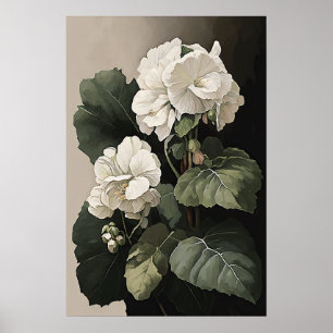 White Begonias Flower Art Print Poster