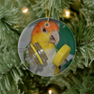 White Bellied Caique Parrot Ceramic Ornament