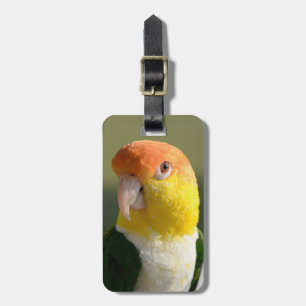 White Bellied Caique Parrot Luggage Tag
