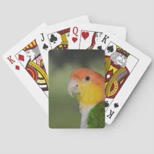White Bellied Caique Parrot Outdoors Playing Cards