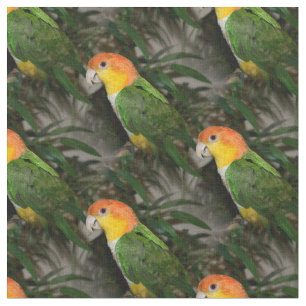 White Bellied Caique Parrot with Bamboo Tree Fabric