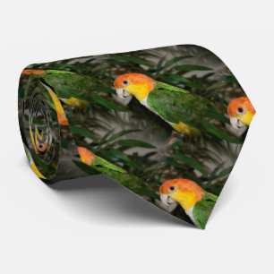 White Bellied Caique Parrot with Bamboo Tree Tie