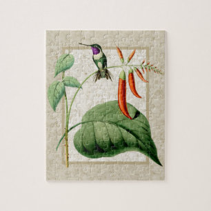 White Bellied Wood Star Hummingbird Puzzle