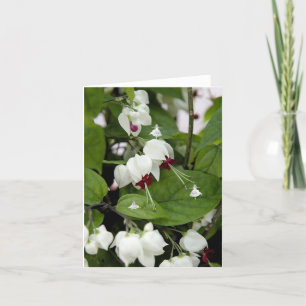 White Bells Shadow Fairies Card