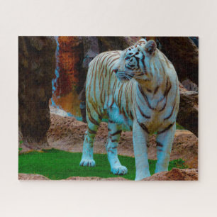 White Bengal Tiger. Big Cats. Jigsaw Puzzle