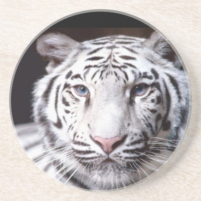 White Bengal Tiger Photography Coaster (Front)