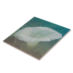 White Bindweed - The Wild Perennial Morning Glory Ceramic Tile