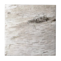 White Birch Bark