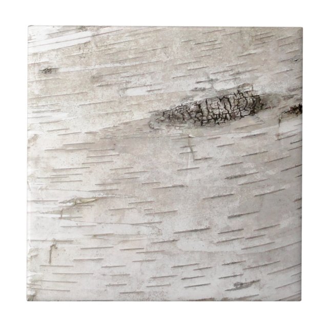 White Birch Bark Tile (Front)