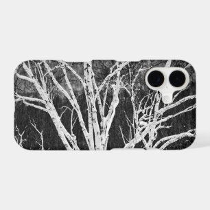 White Birch Tree In Winter Black And White Photo