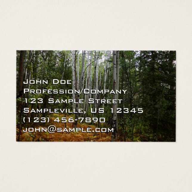 White Birch Trees and Fall Ferns at Rocky Mountain (Front)