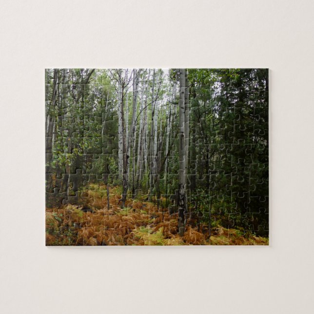 White Birch Trees and Fall Ferns at Rocky Mountain Jigsaw Puzzle (Horizontal)