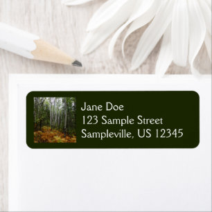 White Birch Trees and Fall Ferns at Rocky Mountain Return Address Label