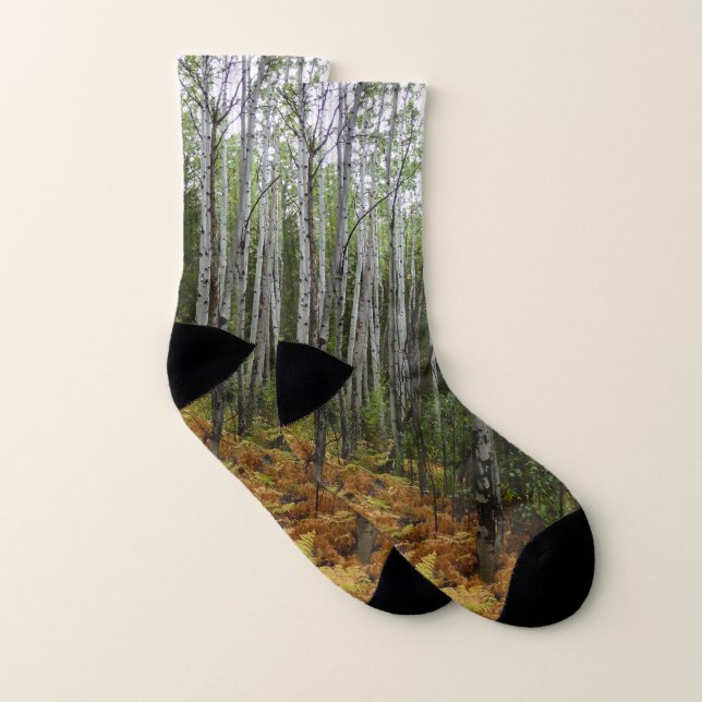 White Birch Trees and Fall Ferns at Rocky Mountain Socks (Pair)